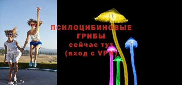 спайс Бородино