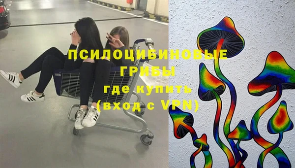 индика Бугульма