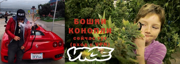 спайс Бородино