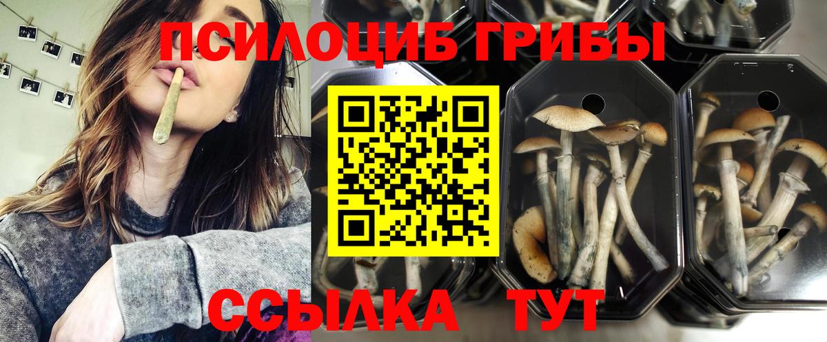 Галлюциногенные грибы GOLDEN TEACHER  Псилоцибиновые грибы мицелий  Вязники  Вход с VPN 
